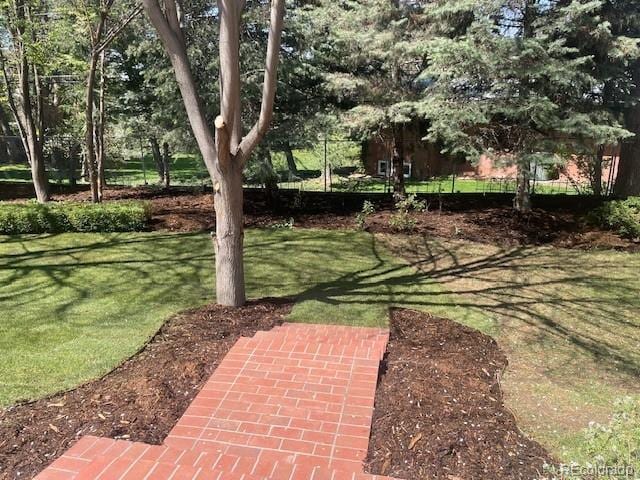3975 S Cherry St, Cherry Hills Village, CO 80113 - view of yard