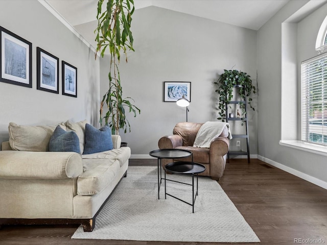 20789 E Princeton Pl, Aurora, CO 80013 - living area featuring baseboards, dark wood-style flooring, and vaulted ceiling
