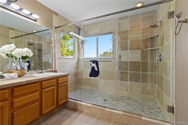 2043 Fendlebrush St, Highlands Ranch, CO 80129 - full bath featuring vanity and a shower stall
