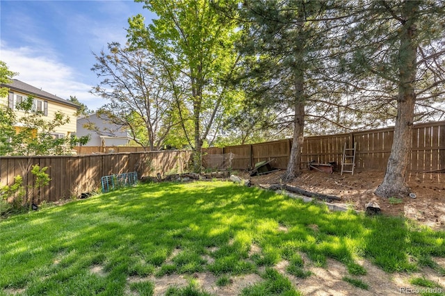 2043 Fendlebrush St, Highlands Ranch, CO 80129 - view of yard