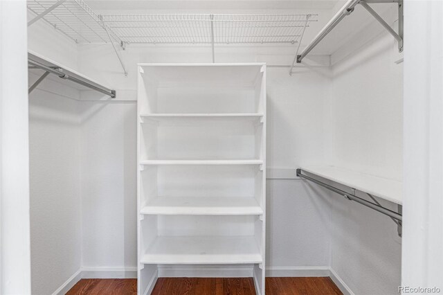 spacious closet with dark hardwood / wood-style flooring