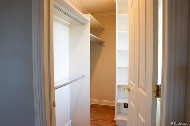 spacious closet featuring wood finished floors