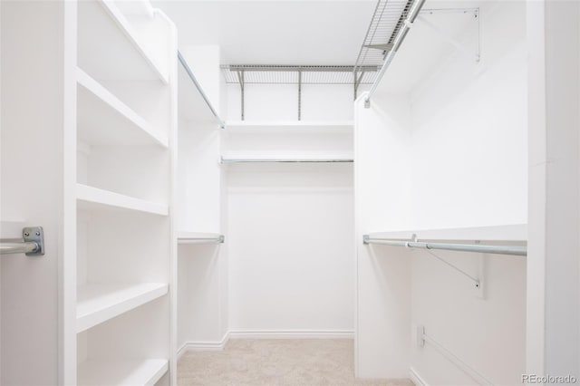 walk in closet featuring light colored carpet