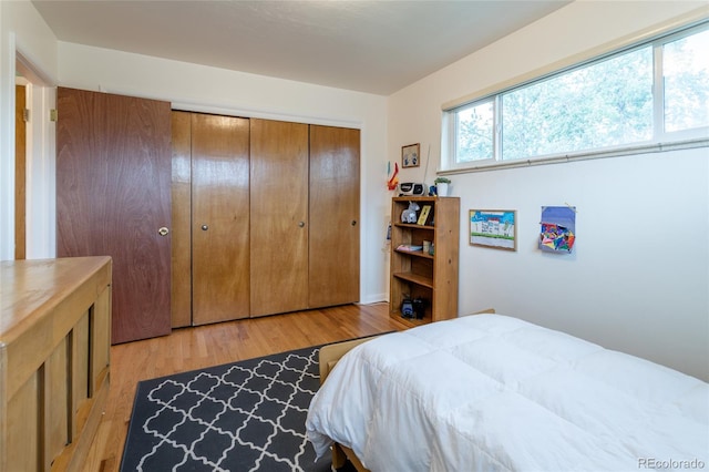4891 Depew St, Denver, CO 80212 - bedroom with light wood-type flooring and a closet