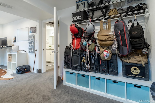 4891 Depew St, Denver, CO 80212 - mudroom with carpet