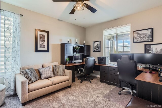 8133 Arapahoe Peak St, Littleton, CO 80125 - photo 19
