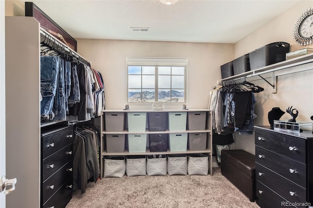 8133 Arapahoe Peak St, Littleton, CO 80125 - photo 26