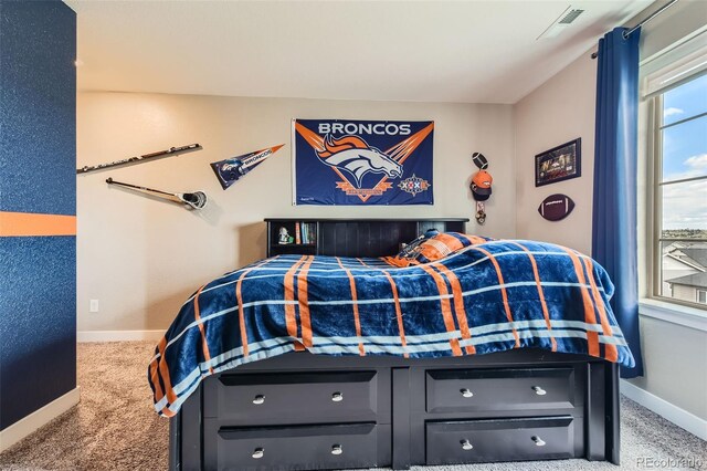 8133 Arapahoe Peak St, Littleton, CO 80125 - photo 34