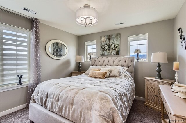 8133 Arapahoe Peak St, Littleton, CO 80125 - photo 36