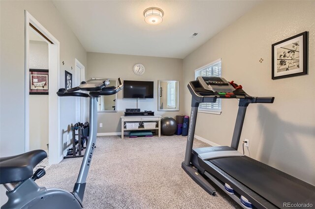 8133 Arapahoe Peak St, Littleton, CO 80125 - photo 43