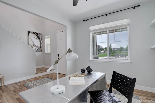 5528 Echo Hollow St, Castle Rock, CO 80104 - photo 12