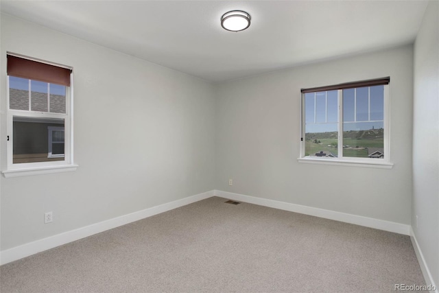 5528 Echo Hollow St, Castle Rock, CO 80104 - photo 21