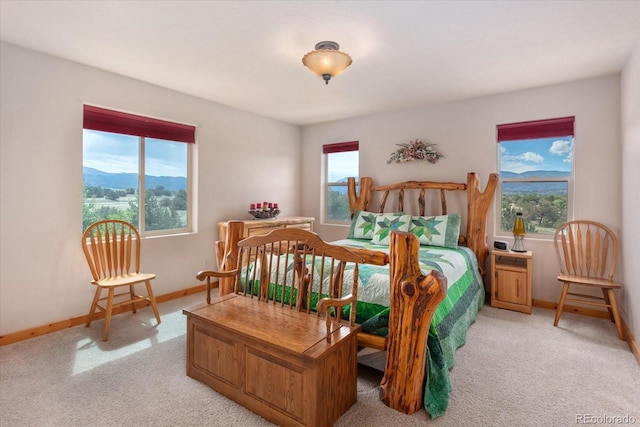 11888 Las Colinas Dr, Salida, CO 81201 - photo 31
