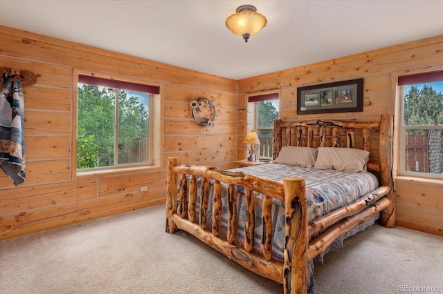 11888 Las Colinas Dr, Salida, CO 81201 - photo 34