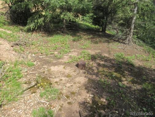 2450 Elk Park Rd, Larkspur, CO 80118