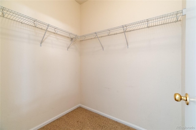 24664 E Louisiana Cir, Aurora, CO 80018 - walk in closet featuring carpet flooring