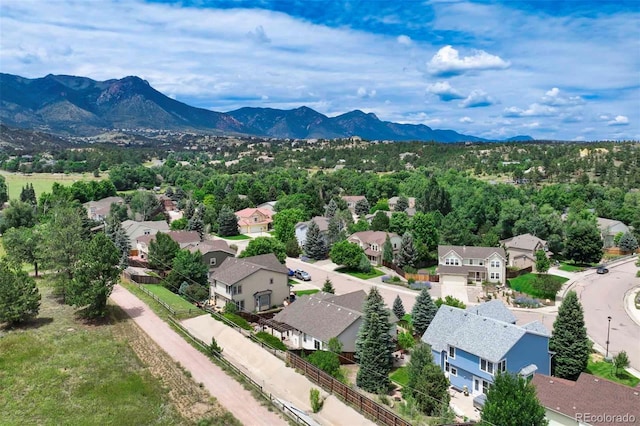 1345 Casson Ct, Colorado Springs, CO 80919 - photo 46