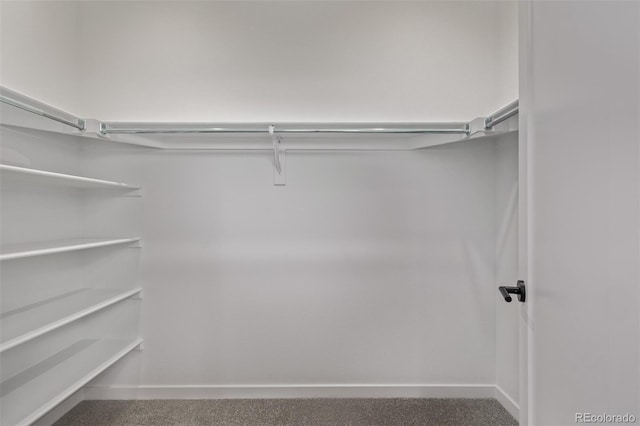 20520 E 58th Ave, Aurora, CO 80019 - spacious closet with carpet floors