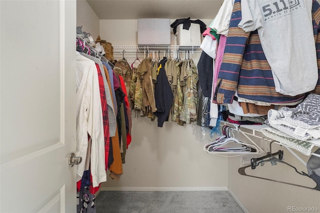 walk in closet featuring carpet