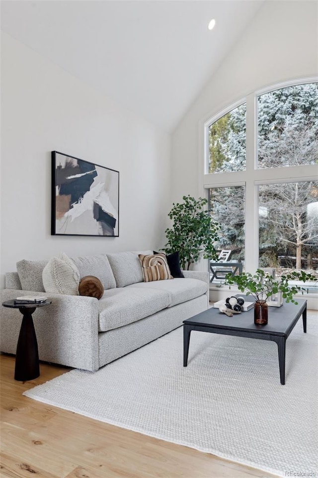 living room with wood-type flooring and a high ceiling