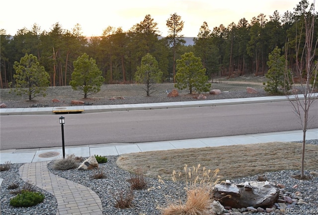 exterior view of a wooded view