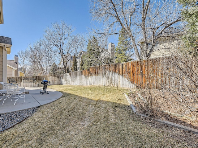 view of yard with a patio area and a fenced backyard