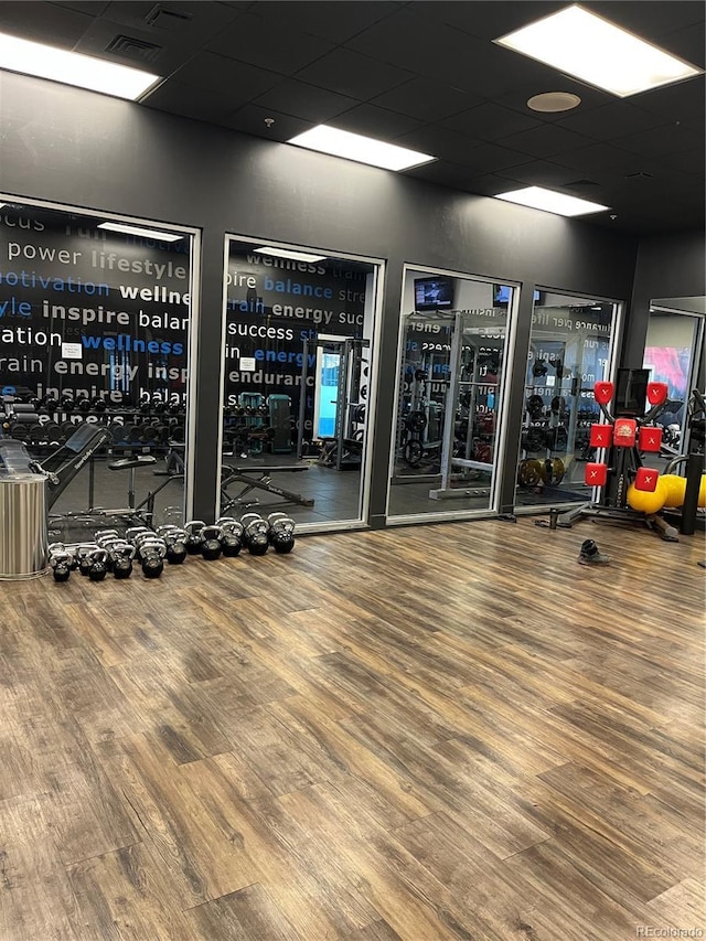 workout area with a drop ceiling and hardwood / wood-style flooring