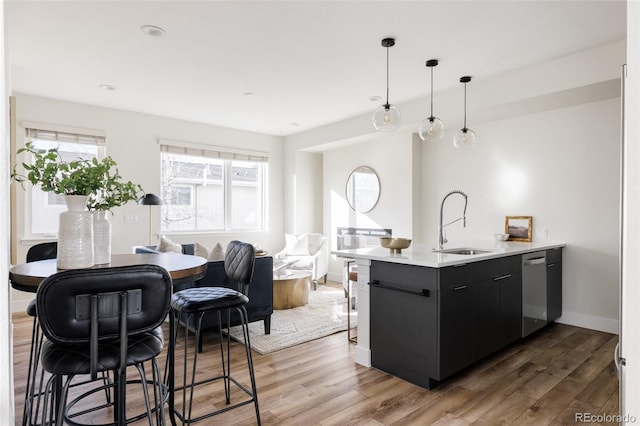 kitchen with wood finished floors, a sink, light countertops, dark cabinetry, and stainless steel dishwasher