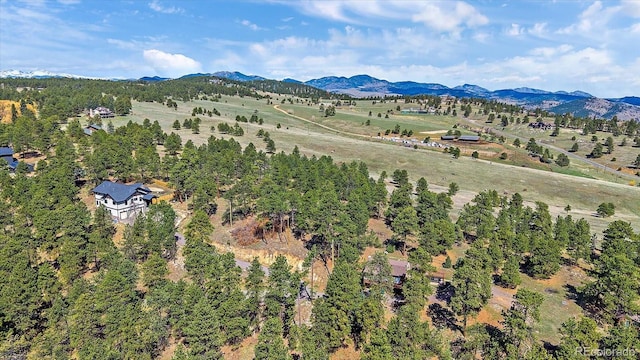 birds eye view of property with a rural view and a mountain view