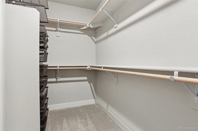 walk in closet featuring carpet flooring