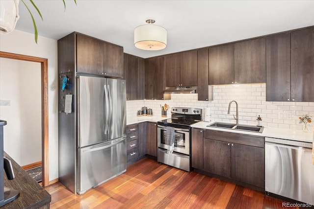 kitchen featuring dark hardwood / wood-style flooring, sink, dark brown cabinets, and appliances with stainless steel finishes