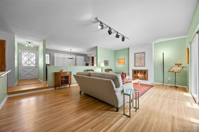 8205 Pennsylvania St, Denver, CO 80229 - living room featuring light wood-style flooring, a fireplace, and track lighting