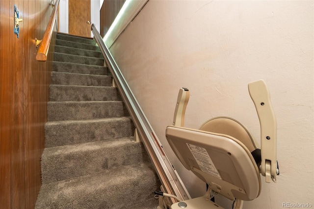 8205 Pennsylvania St, Denver, CO 80229 - stairs with carpet flooring