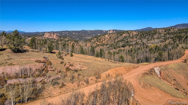 1343 Golden Cycle Cir, Cripple Creek, CO 80813 - photo 33