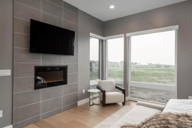 living room with a fireplace and wood-type flooring