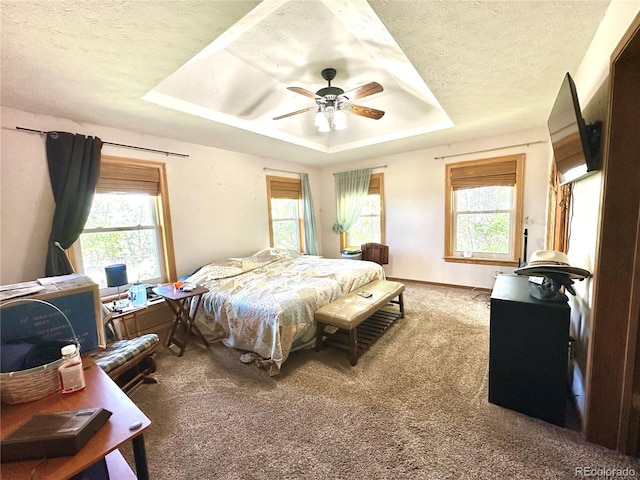 24938 County Road 18, Keenesburg, CO 80643 - bedroom with a raised ceiling, carpet floors, multiple windows, a textured ceiling, and ceiling fan