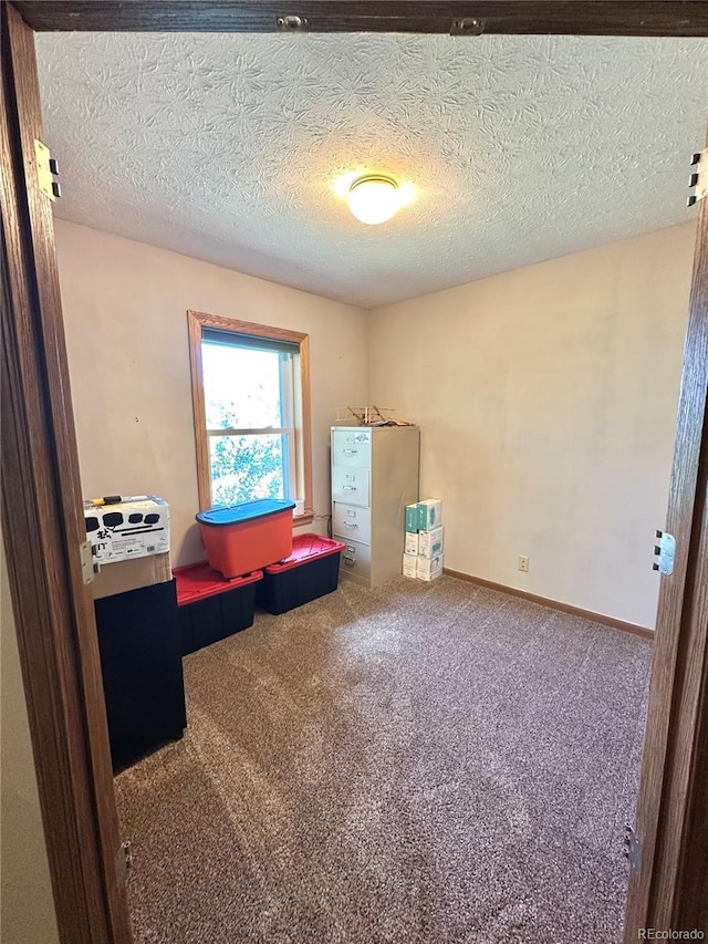 24938 County Road 18, Keenesburg, CO 80643 - misc room with carpet floors, a textured ceiling, and baseboards