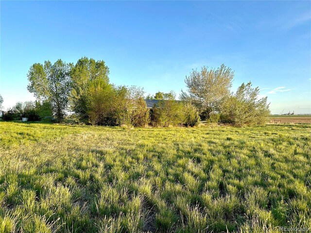 24938 County Road 18, Keenesburg, CO 80643 - view of local wilderness featuring rural landscape
