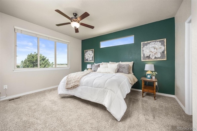 11369 Charles St, Firestone, CO 80504 - photo 12
