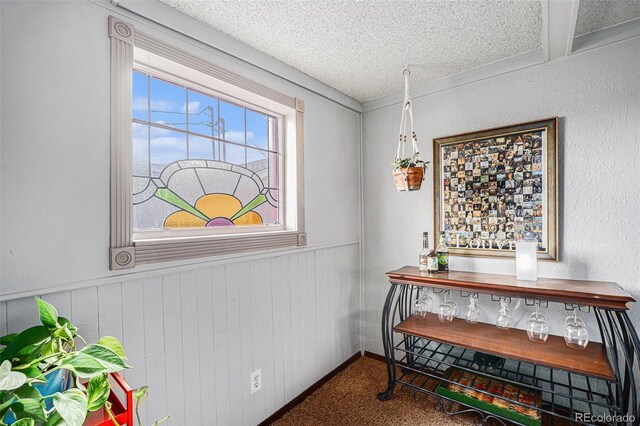 interior space featuring a textured ceiling, wainscoting, and carpet