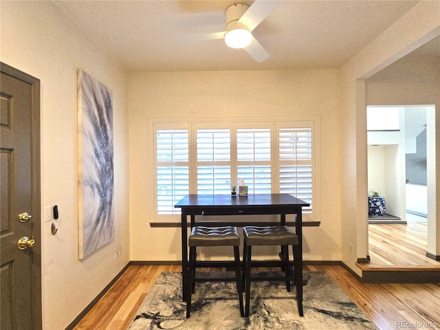 dining room with light hardwood / wood-style floors and ceiling fan