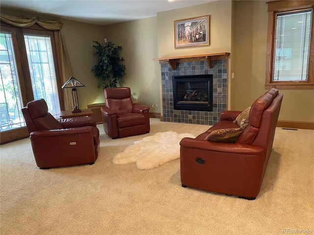 1145 S Williams St, Denver, CO 80210 - carpeted living area featuring a fireplace and baseboards