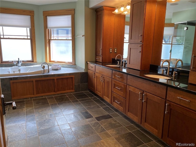 1145 S Williams St, Denver, CO 80210 - bathroom featuring a bath, stone tile flooring, and double vanity