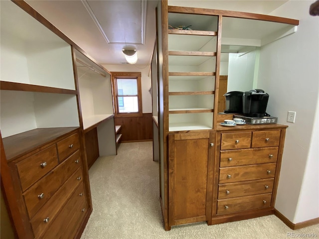 1145 S Williams St, Denver, CO 80210 - spacious closet with attic access and light carpet