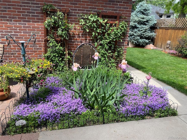 1145 S Williams St, Denver, CO 80210 - view of yard