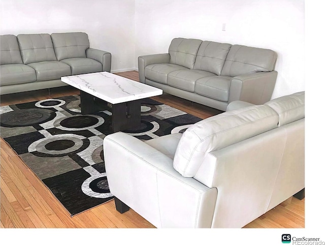 living room with hardwood / wood-style floors