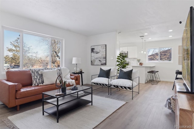 living room with light hardwood / wood-style floors and plenty of natural light