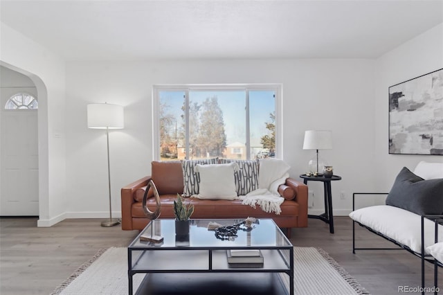 living room featuring wood-type flooring