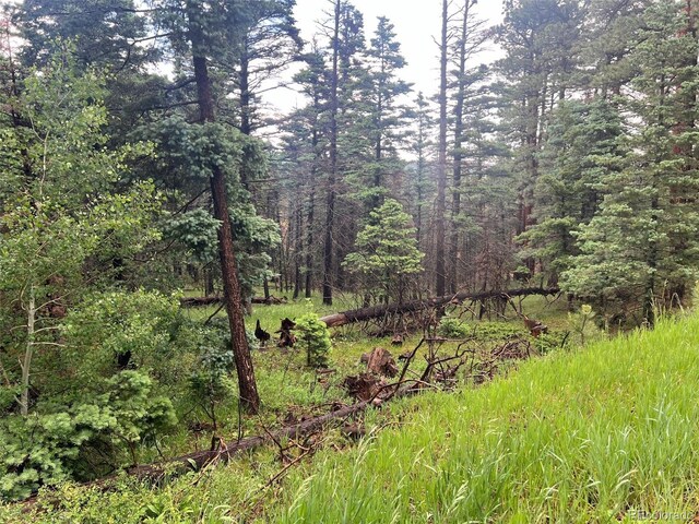 County Rd 406, Cuchara, CO 81055 - photo 1