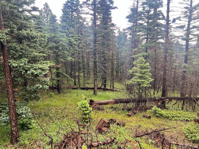 County Rd 406, Cuchara, CO 81055 - photo 2